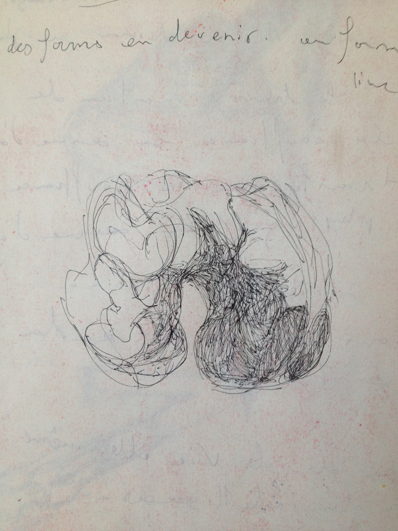 tumblr_p41gy1c05l1skikjmo1_1280